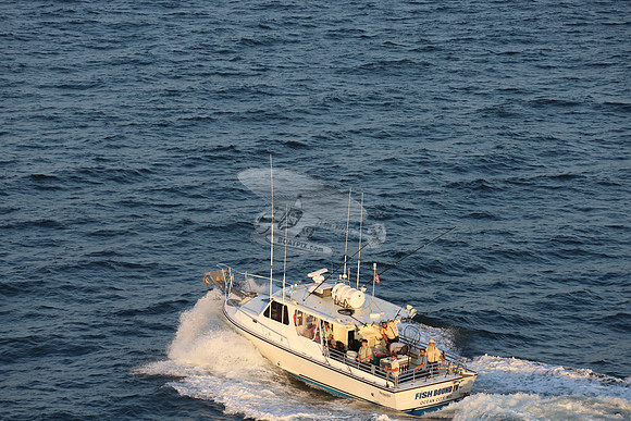 fish bound iv.ocean city md.8853