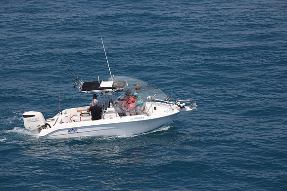 fl1436ka.13