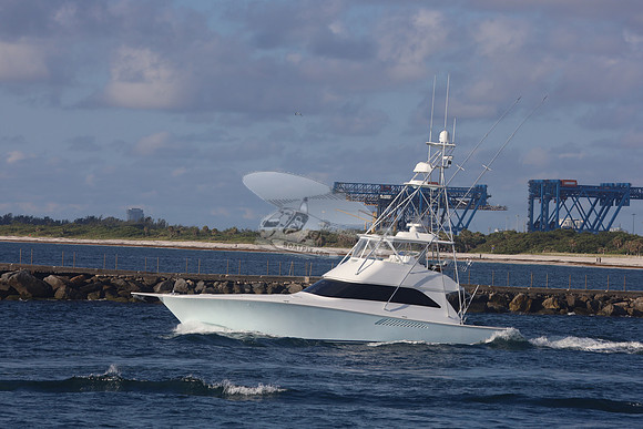 Amuck.islamorada.8