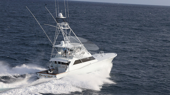 CHASIN TAIL.SINGER ISLAND.2935