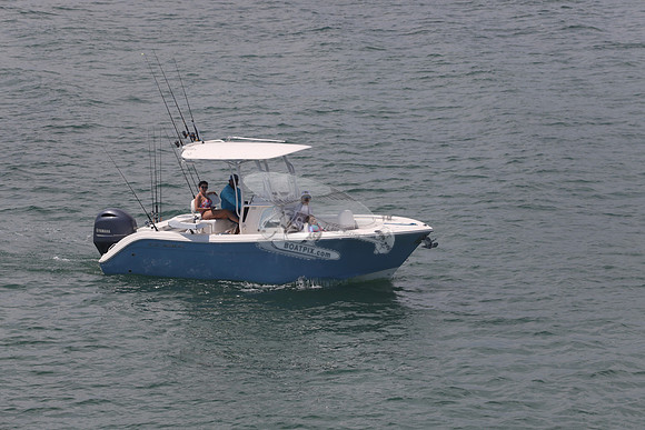 cobia.one yamaha.15