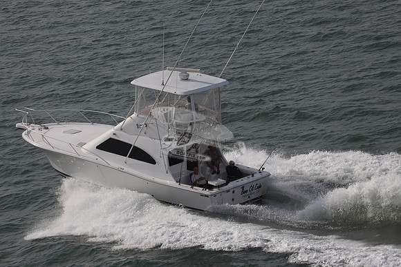 BARE OL CUDA.INDIAN RIVER DE.LUHRS.01