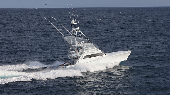 CHASIN TAIL.SINGER ISLAND.2943