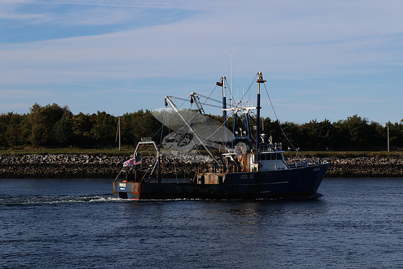 Prowess.fairhaven.5