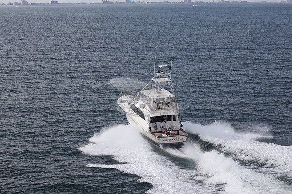 american lady.ocean view de.2187