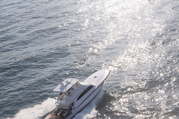 ABSOLUT PLEASURE.OCEAN CITY MD.31