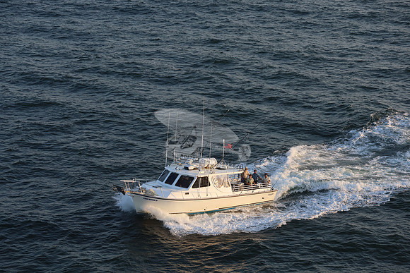 fish bound iv.ocean city md.8864