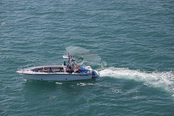 conch flyer.8275