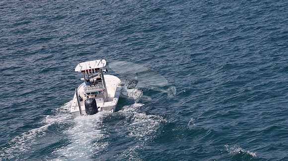 FL0364TD.809
