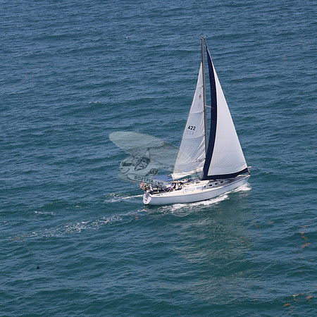 422.FL8313SN..SPIRIT OF THE WIND.16