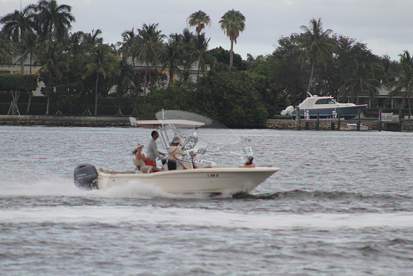 FL0786SX.804