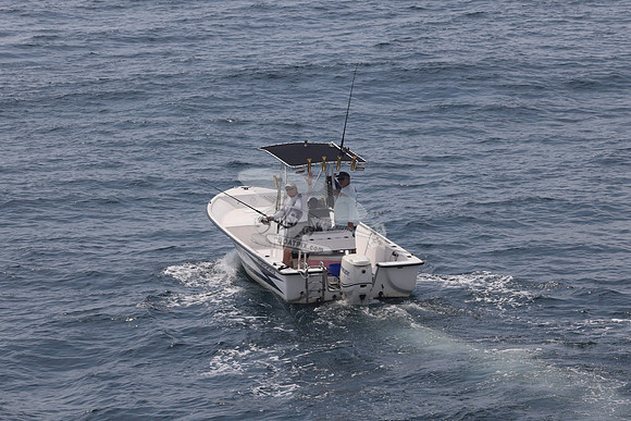 FL2022MB.RIPARIUS VI.01