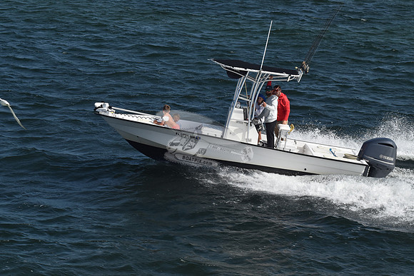 fl0791rm.3