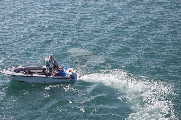 conch flyer.8277