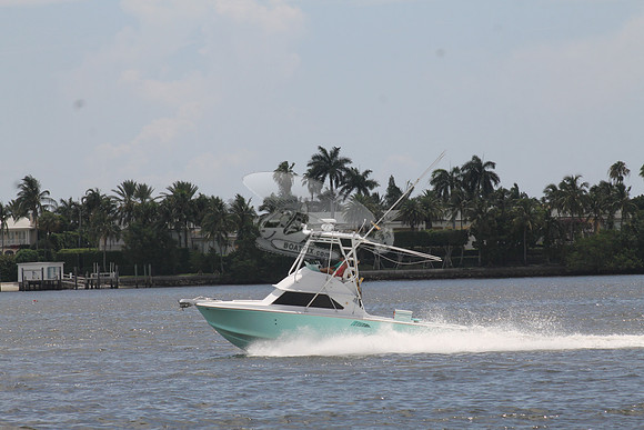 Bertram 28 green.06