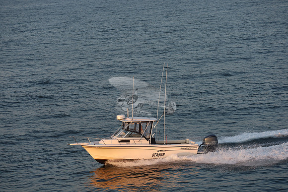 dl5059ac.seabum.8800