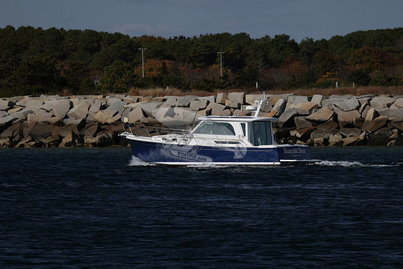 Bonnie Blue.0110