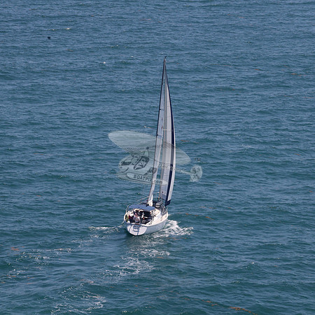 422.FL8313SN..SPIRIT OF THE WIND.06