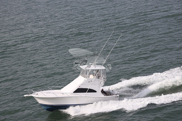BARE OL CUDA.INDIAN RIVER DE.LUHRS.11