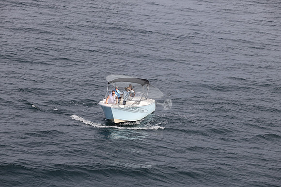 FL0314TD.SEA YA.22