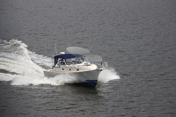 DIAMONDBACK.4601