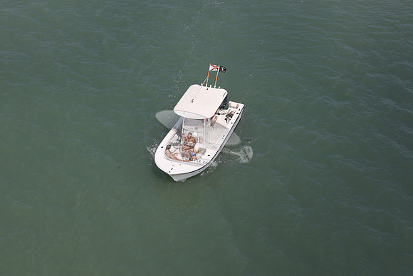 fl1367rp.8156