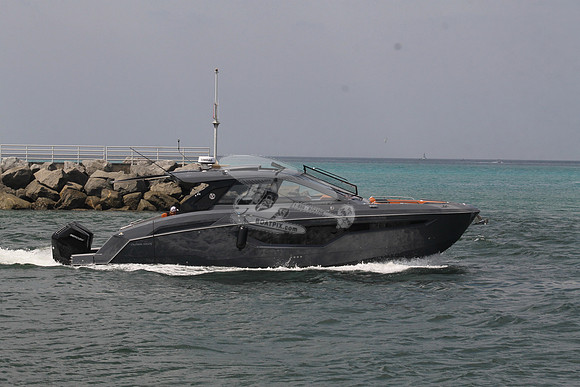 CRUISERS42.GRAY.1