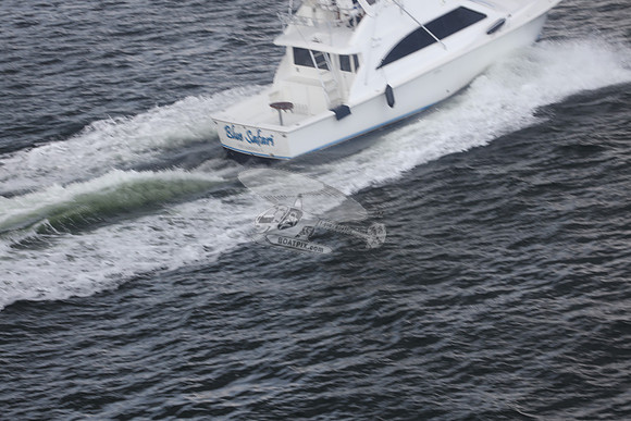 blue safari.laud.ocean.24