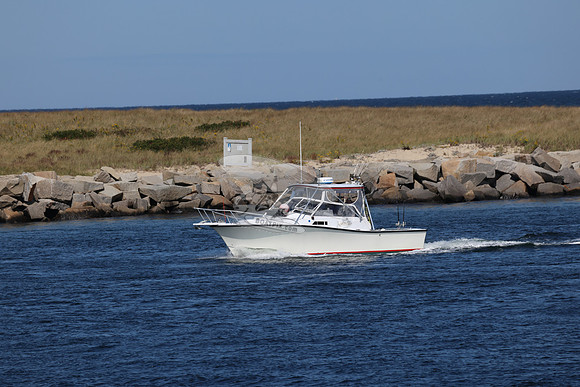 ms99909bn.06