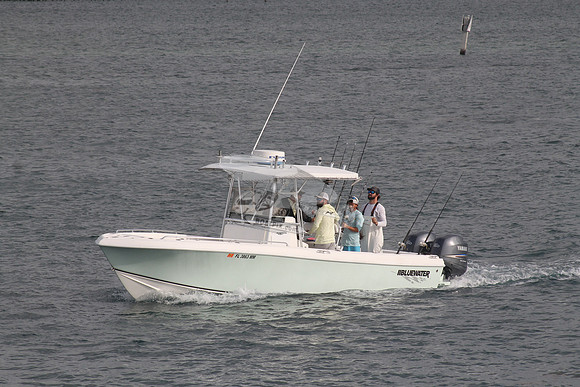 FL3863MM.09