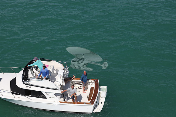 BLACKFIN.2