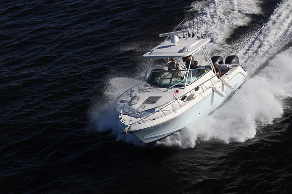 ACCI-DENTAL.JAX FL.ROBALO.18