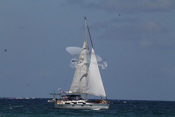 ANCHOR MANAGEMENT.03