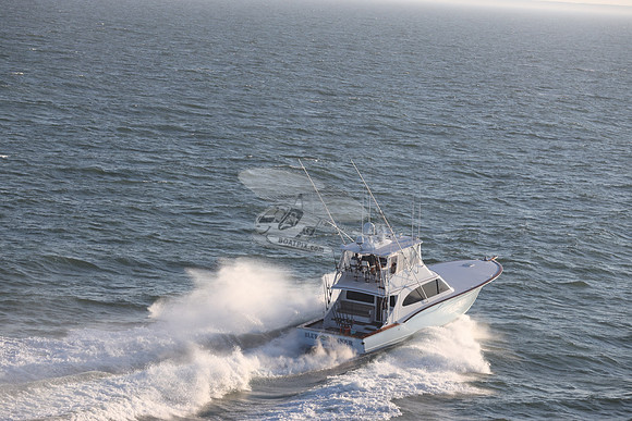 blue runner.manasquan nj.9284
