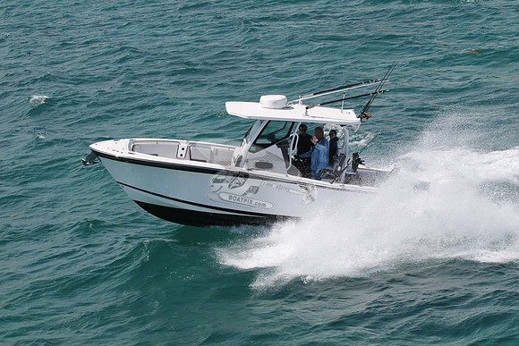 BLACKFIN.14