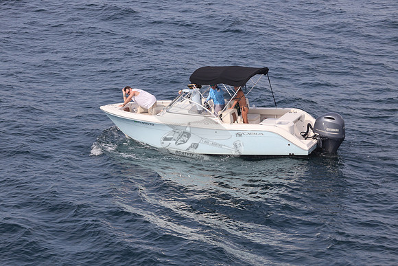 FL0314TD.SEA YA.14