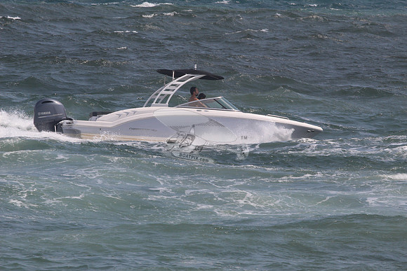 CHAPARRAL.GRAY W BLACK TOP.06