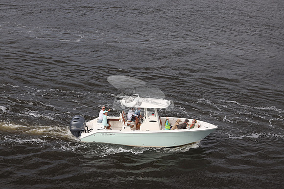 COBIA.3