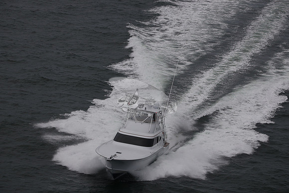 back n down.stuart.41