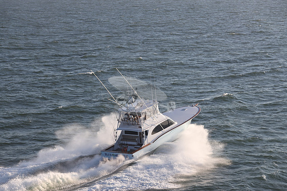 blue runner.manasquan nj.9288