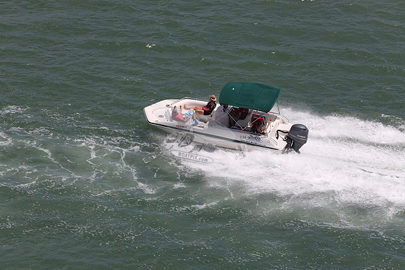 FL1833LT.31