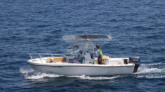 FL0253DE.13