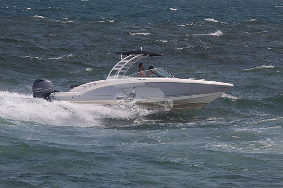 CHAPARRAL.GRAY W BLACK TOP.03