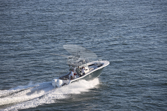 NJ1445HP.06