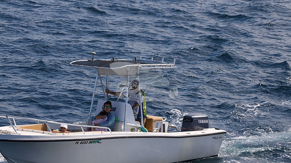 FL0253DE.18