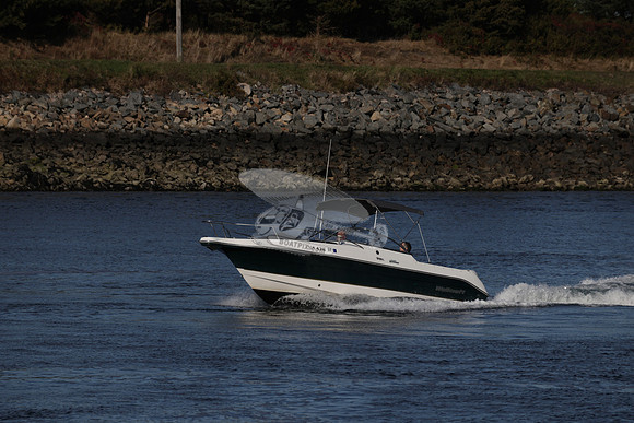 ms4316br.02