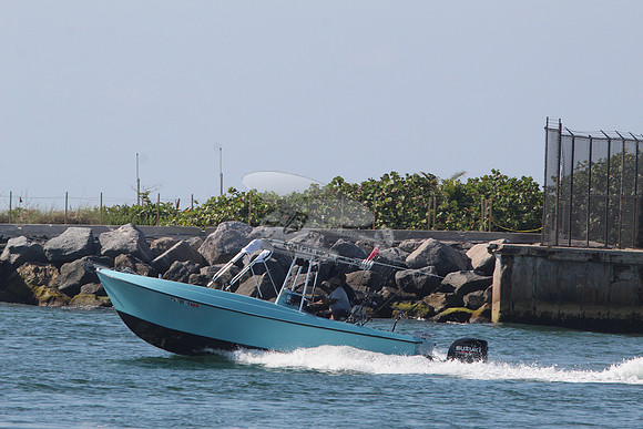 FL7227FN.5