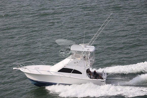 BARE OL CUDA.INDIAN RIVER DE.LUHRS.09