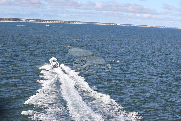 FL0193RD.01