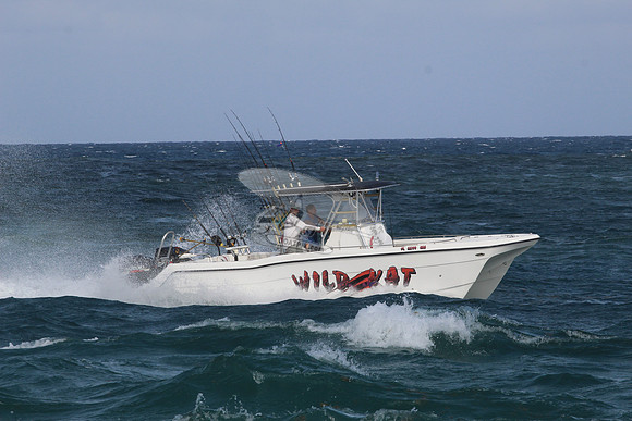 fl5599mu.wild kat.1688